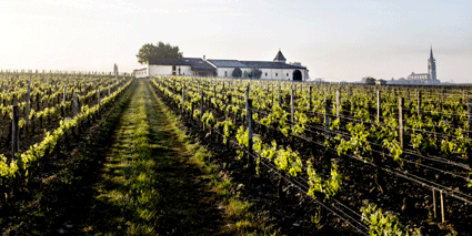 Clos L'Eglise GebäudeWeinberge